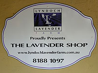 images of the lavender shop, hahndorf, adelaide hills