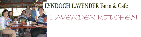 enjoying the cafe serenity and beautiful foods from the lavender kitchen