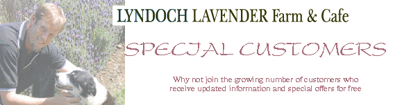 special customers the benefits of being a member