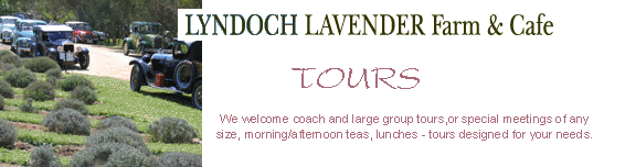 a special tour group option in the barossa valley, australia